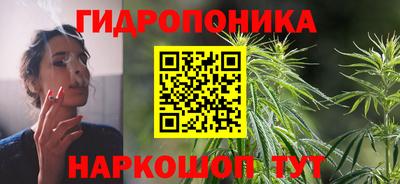 амф Новозыбков