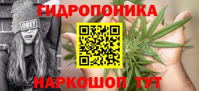 амф Новозыбков