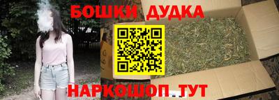 амф Новозыбков