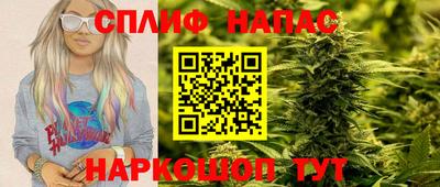 амф Новозыбков