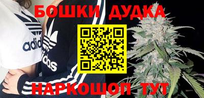 амф Новозыбков